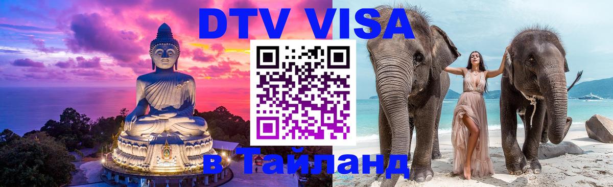 Сколько стоит DTV виза — актуальные цены, оформление даже без документов - 23.11.2025 